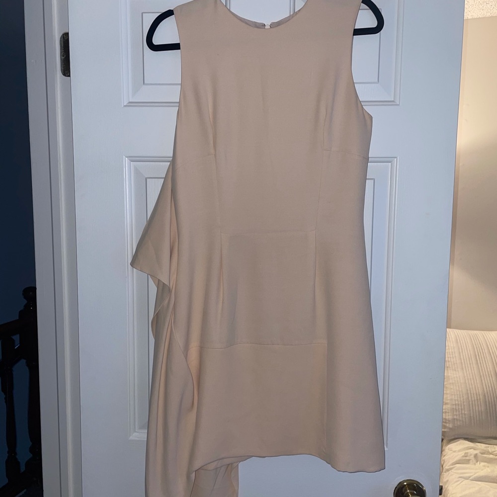Christian Dior Champagne Dress